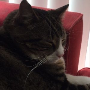 Meet your Posher, Jess